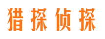 亭湖市私家侦探